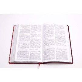 Biblia Reina Valera 1960 de Estudio para mujeres vino tinto-fucsia, sÃ­mil piel, / Women Study Bible RVR 1960 Burgundy-Fuschia LeatherTouch. (Spanish Edition)