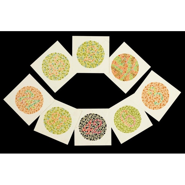 Posterazzi SCIJA0026 Ishihara Color Blindness Test Poster Print by Science