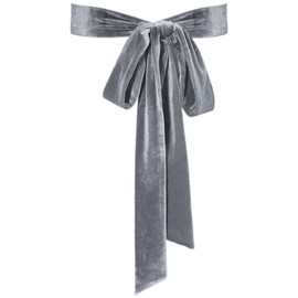 Geyoga Women Velvet Sash Belt Dress Sash Tie Waist Belt Skinny Neck Scarf Wedding Special Occasion Prom Formal(Silver)