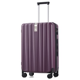 Hanke 24 Inch Luggage Suitcases With Spinner Wheels Lightweight PC Hard Shell Rolling Suitcase With Travel Lock,Checked-Medium 24-Inch（Purple）