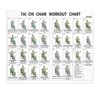 Tai Chi Chair Exercise Chart, Gentle Seated Exercises for Seniors