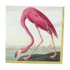 Caspari Audubon Birds and Flamingo Paper Cocktail Napkins, Two Packs