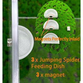 3 PCS Jumping Spider Feeding Dish, Tiny Food Dishes Water Dish for Jumping Spider, Tarantula and Other Small Pets, Half Round