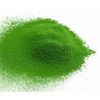 Marukyu Koyamaen Matcha Usucha Isuzu 100g Bag (Isuzu)
