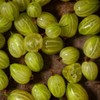 [Chamgoods] Amla Extract Powder Vitamin C Indian Gooseberry 150g 5
