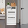 Shoe Cabinet With 2 Flip Drawers Shoe Shelves Shoe Storage