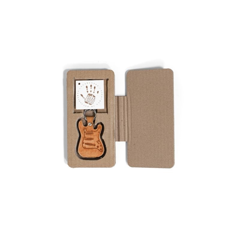 Fender Stratocaster Guitar Plectrum Case in the Shape of an