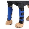 Fitness Accessory Brace Support Set Pack 2 Pack for home