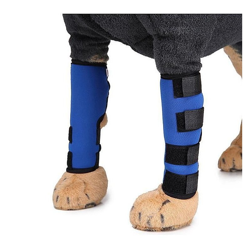 Fitness Accessory Brace Support Set Pack 2 Pack for home