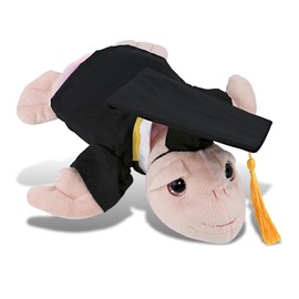 DolliBu Rainbow Pink Sea Turtle Graduation Plush Toy - Super Soft Plush Graduation Stuffed Animal Dress Up Gown, Cap with Tassel Outfit - Congratulatory Graduation Gift with Personalization - 10 Inch