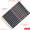 NATARAJ Professional Artist Drawing Pencils Pack Draw Sketch Tone Shade