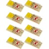Southern Homewares Wooden Snap Mouse Trap Spring Action with Expanded