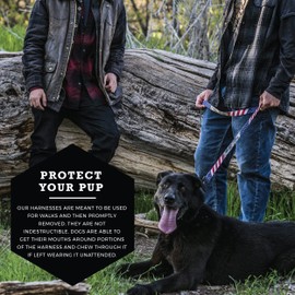 Wolfgang Large Harness & Adjustable Collar, DigitalDog Print, Dog Bundle Set