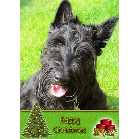 Scottie/Scottish Terrier Dog Christmas Card 'Happy Christmas' - Special Animal Xmas Card for Him Her from Pets Kids