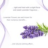Medvat Clear Transmission Gel - Lavender Scented - 8.5oz Twist