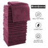 MOONQUEEN Ultra Soft Premium Washcloths Set - 12 x 12