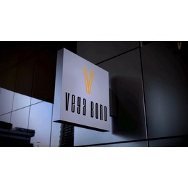 Vega Bond Pro-Foam Gun for Spray Foam with PTFE non-stick coated basket