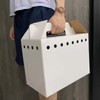 Cardboard Pet Carriers for Small Animals, Hamsters, Gerbils, Birds, Reptiles,