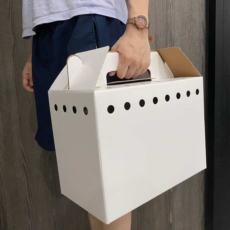 Cardboard Pet Carriers for Small Animals, Hamsters, Gerbils, Birds, Reptiles,