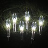 ACDSHOT 6 Pack X Lighted Nocks for Arrows with .204