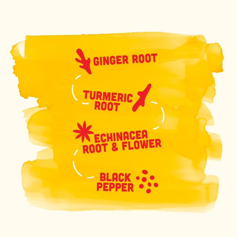 Vive Organic Immune Support Shot, Cold-Pressed Ginger, Turmeric, & Echinacea,