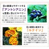 ISDG 医食同源ドットコム ルテイン+ビルベリー サプリメント [ ルテイン 24mg/1日分 ] アントシアニン含有 サプリ