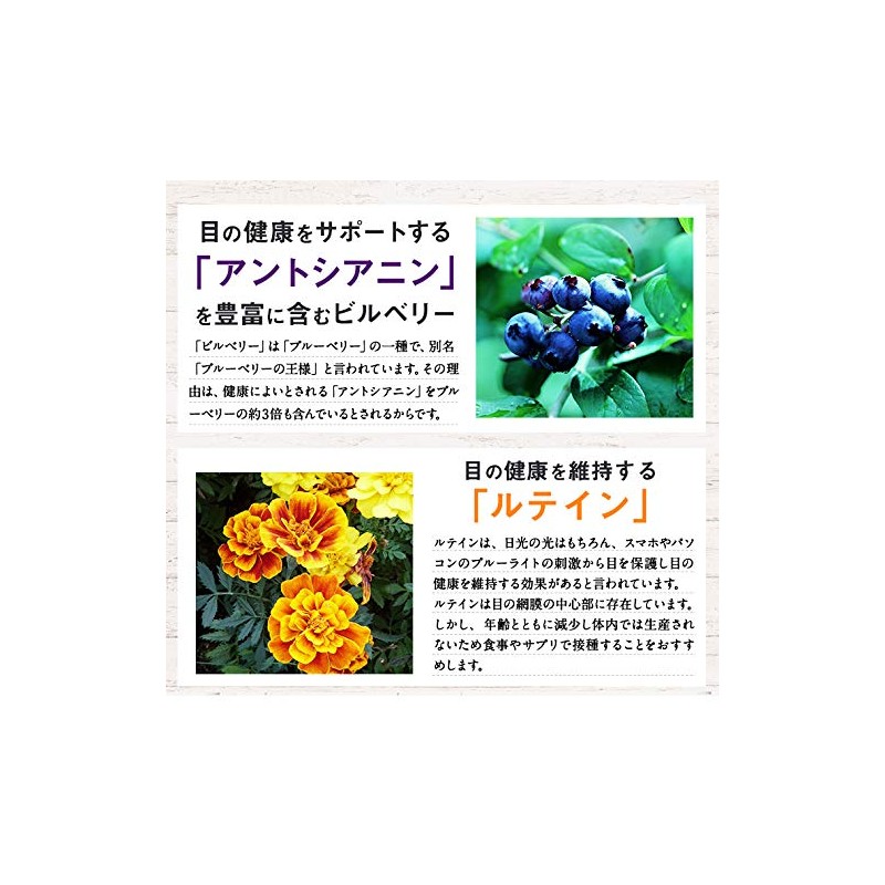 ISDG 医食同源ドットコム ルテイン+ビルベリー サプリメント [ ルテイン 24mg/1日分 ] アントシアニン含有 サプリ
