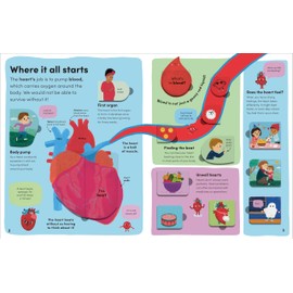 You and Your Body: A First Look Inside the Human Body (My First Board Books)