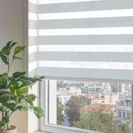 ChrisDowa Cordless Zebra Blinds for Windows, Dual Layer Free-Stop Light Filtering Window Roller Shades, Pull Down Privacy Zebra Shades for Home, Office, Bedroom, Door (46" W x 72" H, Light Grey)