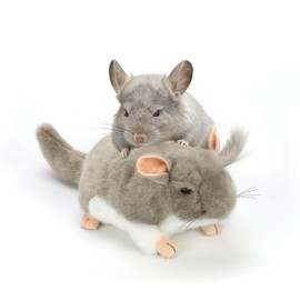 YUEPET Soft Chinchilla Cuddler Plush Toy, Guinea Pig Plush Toy for Cages