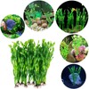 FQSNFNSTY8 10 Pezzi Acquario Pianta Acquario Artificiale Decorazione