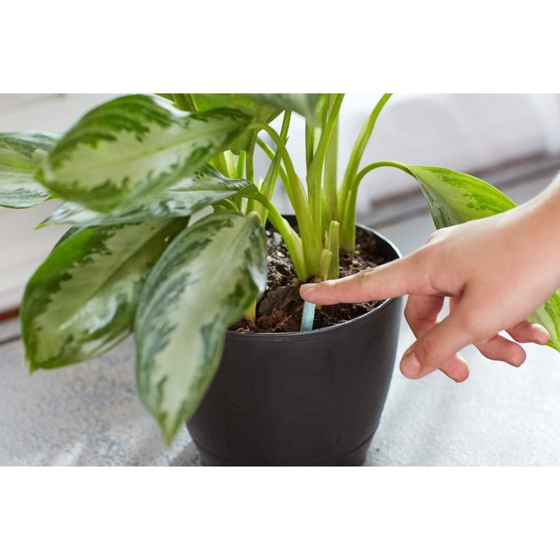 Miracle-Gro Indoor Plant Food Spikes, Includes 24 Spikes - Continuous