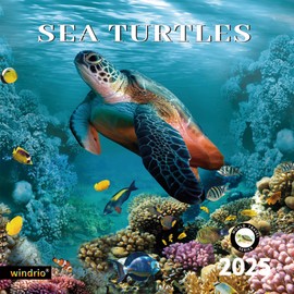 2025 Wall Calendar,Calendar 2025, November 2024 - December 2025, Wall Calendar Sea Turtles, 12" x 24" Opened,Full Page Months Thick & Sturdy Paper for Gift Perfect Calendar Organizing & Planning