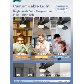 LEDIARY Flush Mount Ceiling Fan with Lights Remote Control, 30" Black Low Profile Ceiling Fan with 10%-100% Dimmable 3CCT,Reversible DC Motor, LED Modern Ceiling Fan for Bedroom, Kitchen, Living Room.