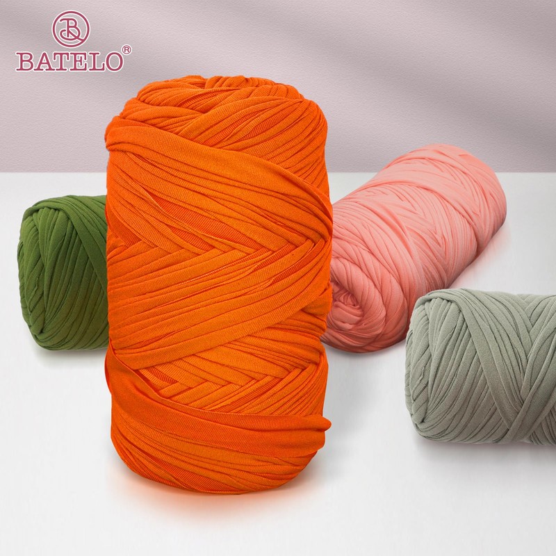 BATELO 2 Pack T-Shirt Yarn Crochet Yarn for Beginner Crochet