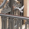 Outdoor Plastic Repellent Wall Defender Fence Spikes for Birds, 10