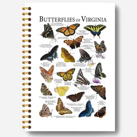 Guymn Butterfly Notebook - Butterfly Journal, Butterfly Gifts for Women, Manarch Butterfly Gifts, Gifts for Butterfly Lovers, Butterflies of Virginia Spiral Notebook 5.5x8.3 Inch