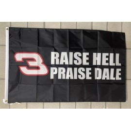Unbranded Raise Hell Praise Dale Flag FREE SHIP Redneck Beer Party America College USA 3x5