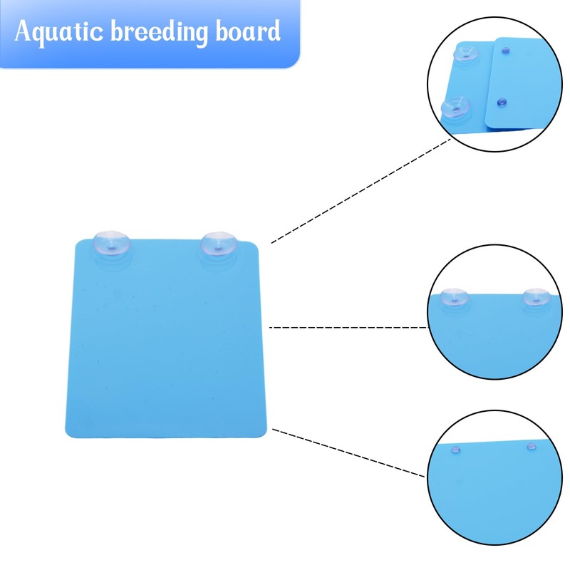 Saim 2 PCS Angelfish Discus Fish Breeding Slate Fish with