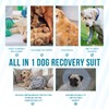 Arblina Dog Recovery Suit for Rear Leg, Adjustable Recovery Sleeve