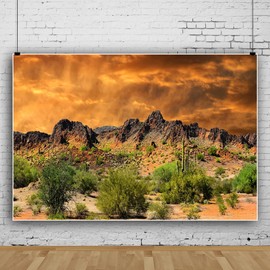 Desert Backdrop Sand Dune Cactus Photography Background Mexico Rocky Mountains Backdrop Sunset Natural Scenery Landscape Background for Men Boys Photo Studio Portraits7x5ft