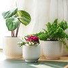 4 + 5 + 6 Inch Ceramic Pots for Indoor