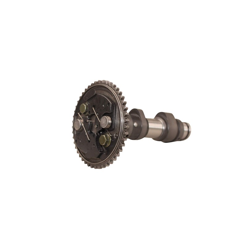 Camshaft Assembly With Cam Gear Sprocket Fits Yamaha Grizzly 660