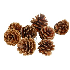 24 pieces of natural pine cones, Thanksgiving Christmas tree decorations, autumn and winter home pine cone decorations Christmas tree garland rattan decoration vase filling