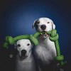 Jolly Pets Knot-N-Chew 4 Knot Green/Black Large/x Large