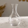 Urban Tokyo Japanese Cold Sake Wine Glass Decanter 12 fl