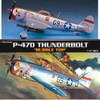 Academy Plastic Model 1:72 P-47D Bubble Top (12491) / 아카데미 프라모델 1대72 P-47D 버블 탑 (12491)