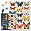 19th Century Entomological Collections Puzzles for Adults 1000 Pieces, Butterfly