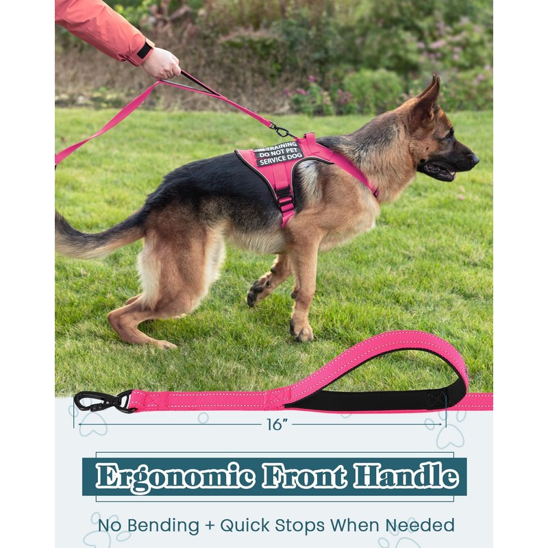 2025 Upgraded 6-8 FT Heavy Duty Dog Leash for Medium