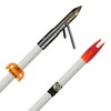 AMS Bowfishing Fiberglass Arrow-White w/Chaos FX Point & AMS EverGlide
